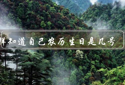 怎样知道自己农历生日是几号（家谱查询／农历日历／咨询专业人士）