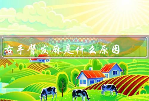 右手臂发麻是什么原因（神经压迫、循环障碍、其他因素）