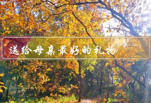 送给母亲最好的礼物（母爱无价／感恩之心／陪伴是最好的礼物）