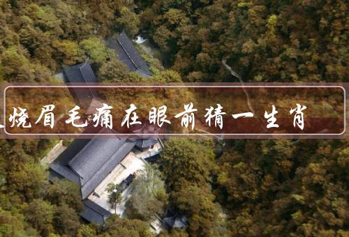 火烧眉毛痛在眼前猜一生肖，由来／含义／生肖与个人命运关系