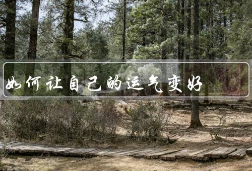 如何让自己的运气变好（积极心态／行动力／善于把握机遇）
