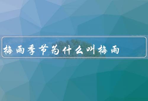 梅雨季节为什么叫梅雨，特点／由来／影响