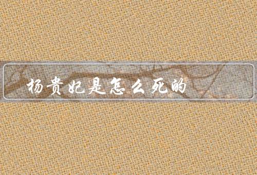 杨贵妃是怎么死的，美貌／权力／悲剧命运