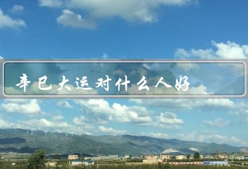 辛巳大运对什么人好，事业上有突破／财运旺盛／人际关系顺利