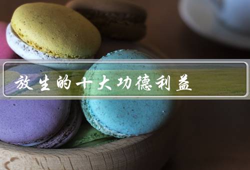 放生的十大功德利益，积累福报／净化心灵／保护生态环境