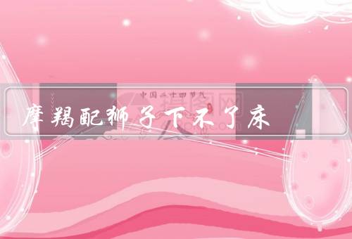 摩羯配狮子下不了床（性格冲突、价值观冲突、沟通不畅）