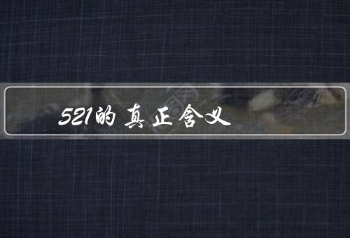 521的真正含义，由来、应用、情感价值