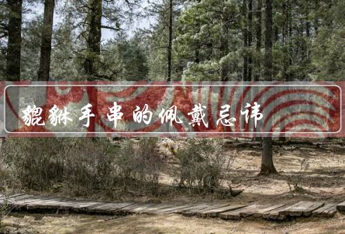 貔貅手串的佩戴忌讳，时间／位置／方式