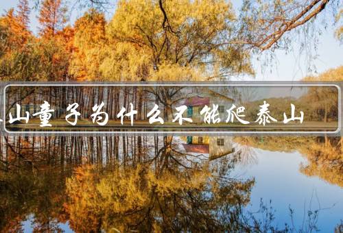 泰山童子为什么不能爬泰山，传统信仰／保护自然环境／尊重历史文化