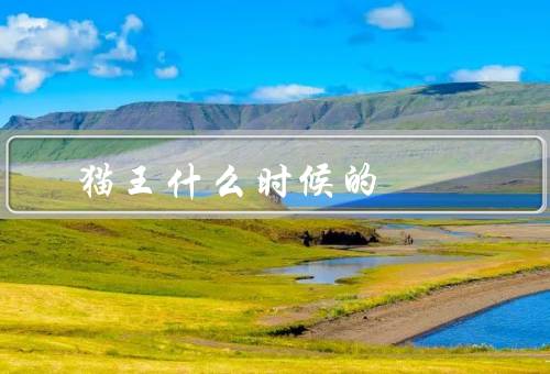 猫王什么时候死的（辉煌岁月、健康问题、离世）