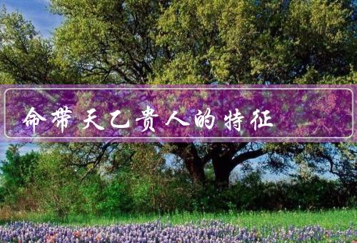 命带天乙贵人的特征（特征、事业发展、人生幸福）