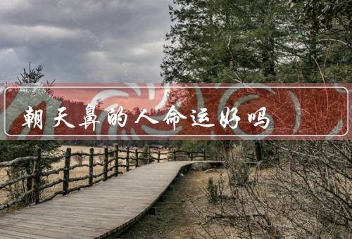 朝天鼻的人命运好吗，历史／自然灾害折磨／未来