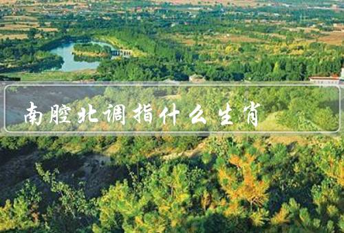 南腔北调指什么生肖（定义／与生肖的关系／对社会的影响）