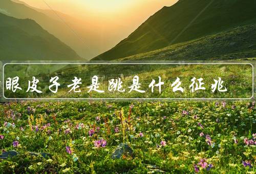 右眼皮子老是跳是什么征兆（眼部疲劳／精神压力／身体疾病）