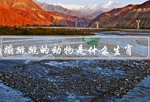 蹦蹦跳跳的动物是什么生肖，虎／龙／兔