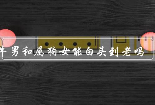 属牛男和属狗女能白头到老吗，性格特点、相处之道、共同兴趣