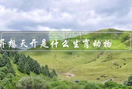 异想天开是什么生肖动物（传说中的异想天开、文学作品中的异想天开）