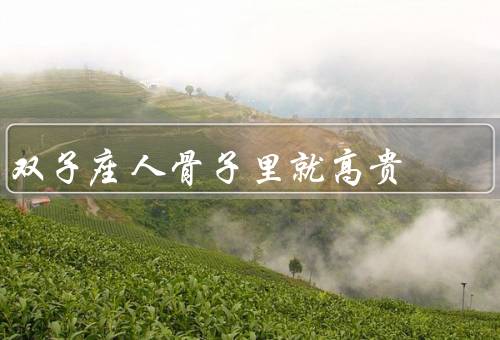 双子座人骨子里就高贵（机智聪慧／多才多艺／热情开朗）