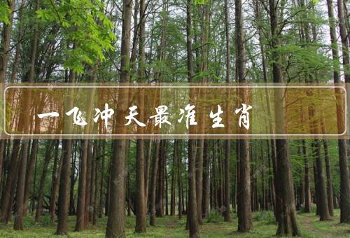 一飞冲天最准生肖（龙的传说、意义）