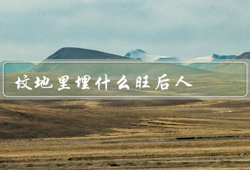 坟地里埋什么旺后人，祭品、财宝、文物