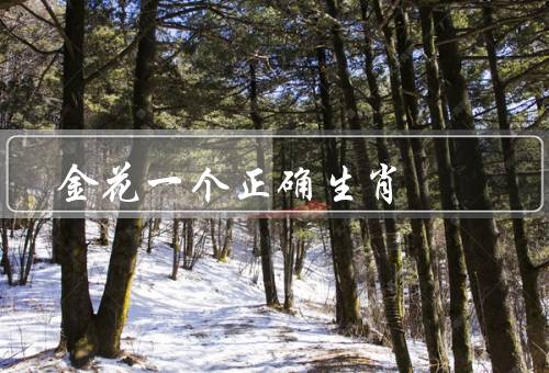 金花一个正确生肖，聪明机智、善于沟通、正直勇敢