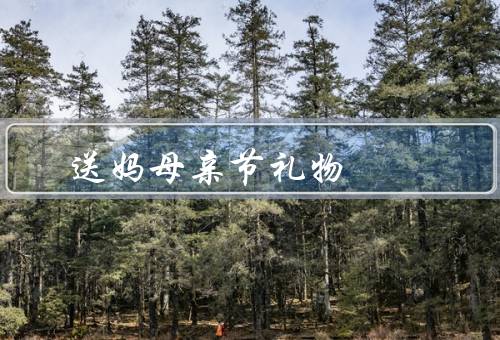 送妈妈的母亲节礼物（爱、兴趣、美丽）