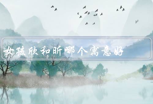 女孩欣和昕哪个寓意好（名字的含义／字形的美观／音韵的悦耳）