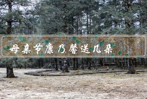 母亲节康乃馨送几朵（康乃馨的象征意义／一束康乃馨）