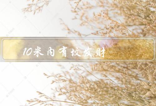 10米内有坟发财（坟墓的奇力、寻找财富的人们、现实与传说）