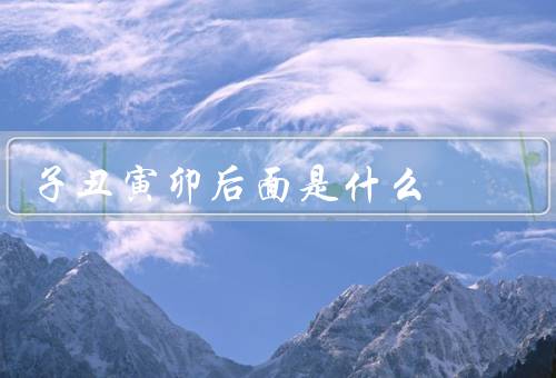 子丑寅卯后面是什么，子丑寅卯后面是辰巳午未、十二生肖的起源