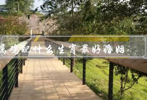 属鸡配什么生肖最好婚姻，蛇、牛、兔