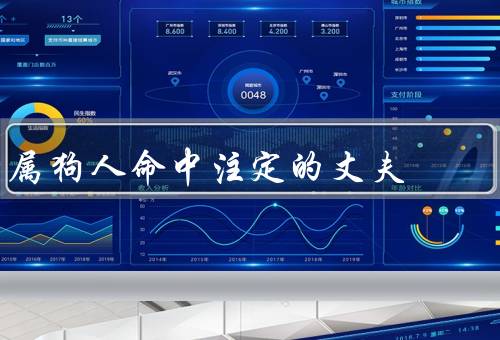属狗人命中注定的丈夫，丈夫的特质／世俗成功／情感共鸣