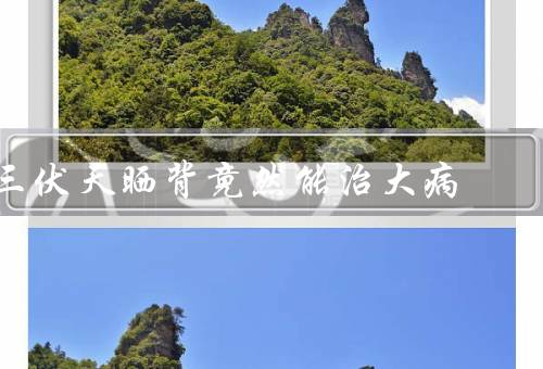 三伏天晒背竟然能治大病（背能促进血液循环／有助于增强免疫力）