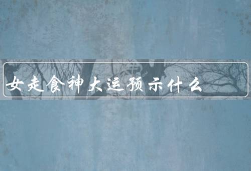 女走食神大运预示什么（女主角的坚持与努力／美食的魅力与文化）