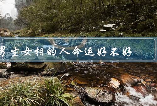 男生女相的人命运好不好（特征、影响、命运塑造）