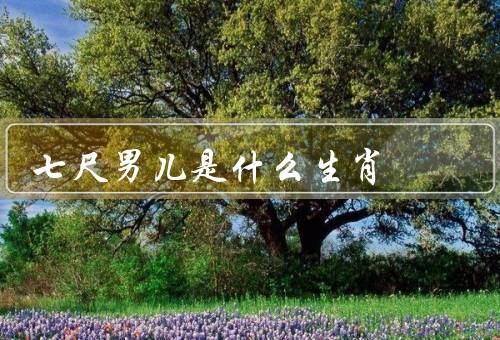 七尺男儿是什么生肖，生肖／壮丽形象／传承精神