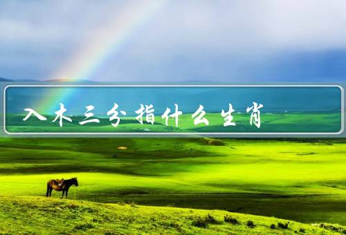 入木三分指什么生肖（虎／龙／蛇）