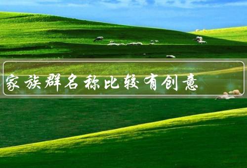 家族群名称比较有创意，家族乐园、亲密家族、创意家族