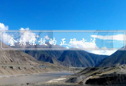 金蟾摆放的正确方法，位置／方向／数量