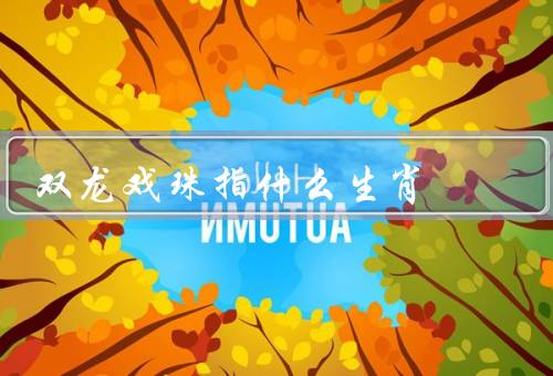 双龙戏珠指什么生肖（属龙人的特点、富贵权势的象征）