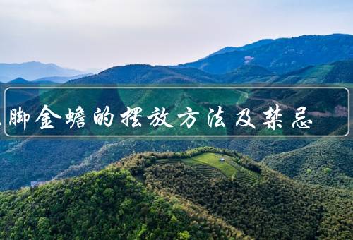 三脚金蟾的摆放方法及禁忌，位置／方向／禁忌