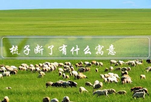 梳子断了有什么寓意，危机感／坚韧不拔／变革和更新