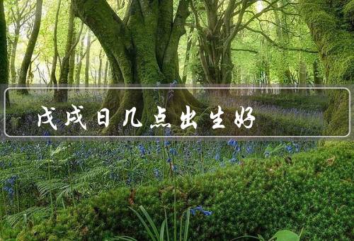 戊戌日几点出生好（聪明才智／勤奋坚韧／适应能力强）