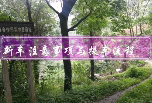 买新车注意事项与提车流程（前的准备、注意事项、提车流程）