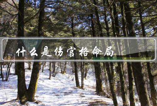 什么是伤官格命局，特点／事业与发展／婚姻与家庭
