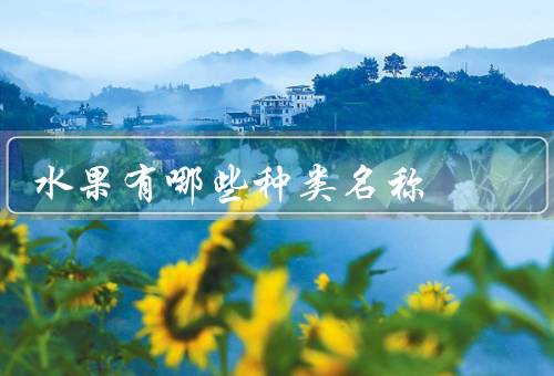 水果有哪些种类名称，苹果／香蕉／橙子