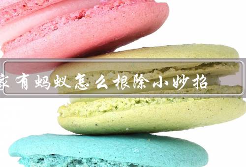 家有蚂蚁怎么根除小妙招，蚂蚁喜欢的食物／清洁家居环境