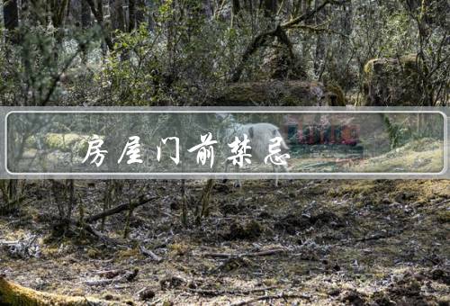 房屋门前风水禁忌，杂物／楼梯／水池