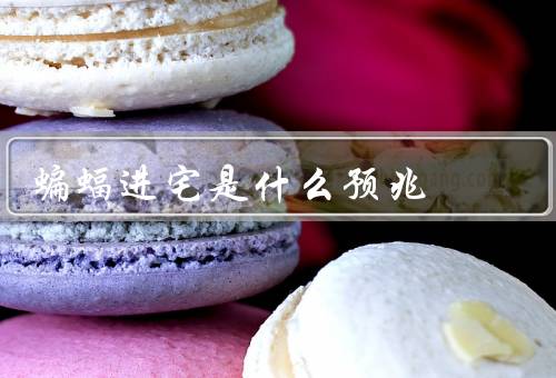 蝙蝠进宅是什么预兆（传统解读／科学解释／个人信仰解读）