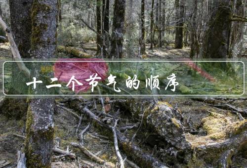 十二个节气的顺序（立春／雨水／惊蛰）